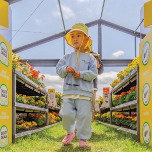 WoolworthsForBees-01