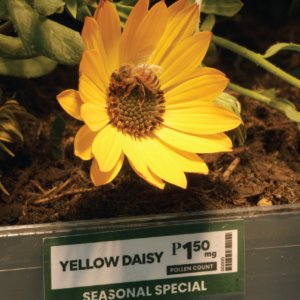 WoolworthsForBees-04